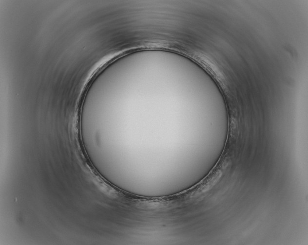 X0000113340948200910060955