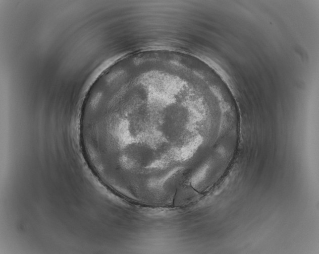 X0000113340949200910060955