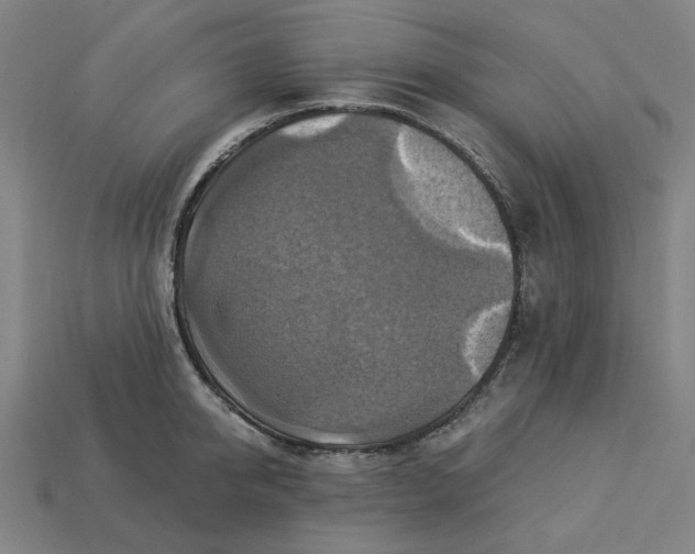 X0000113340950200910060955