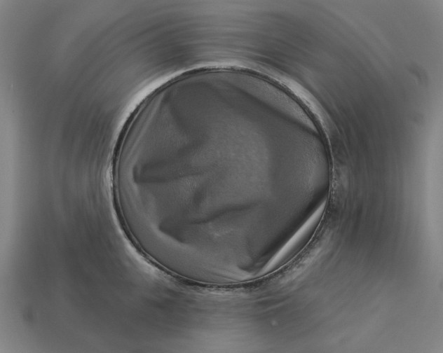 X0000113340951200910060955