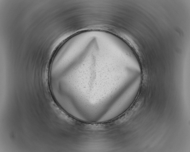 X0000113340952200910060955