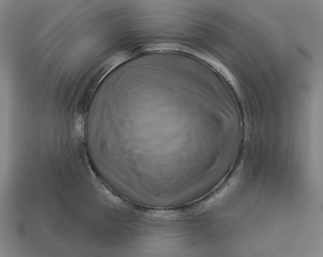 X0000113340953200910060955