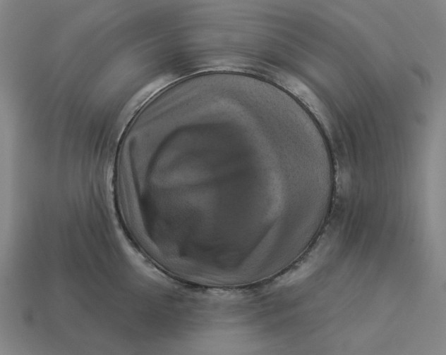 X0000113340954200910060955