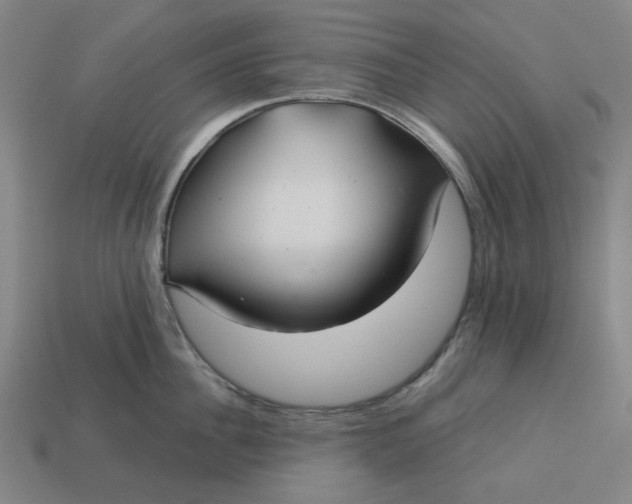 X0000113340956200910060955