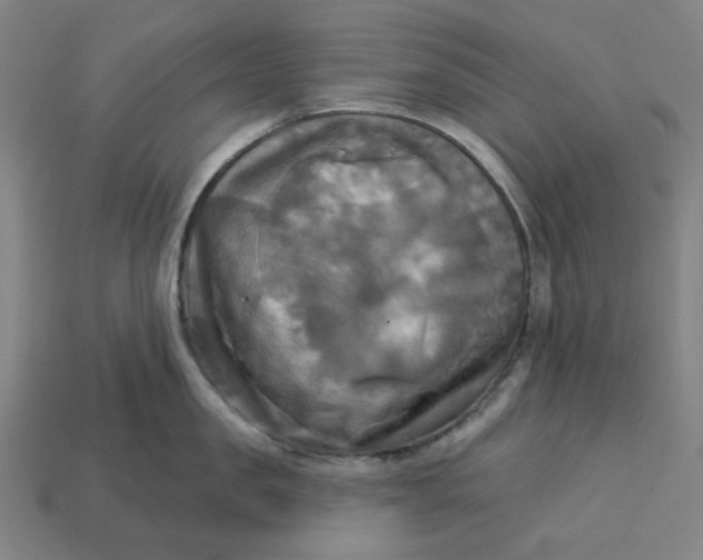 X0000113340957200910060955