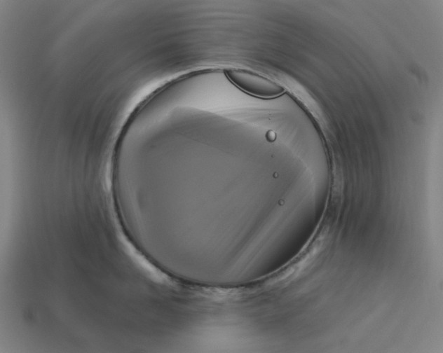 X0000113340958200910060955