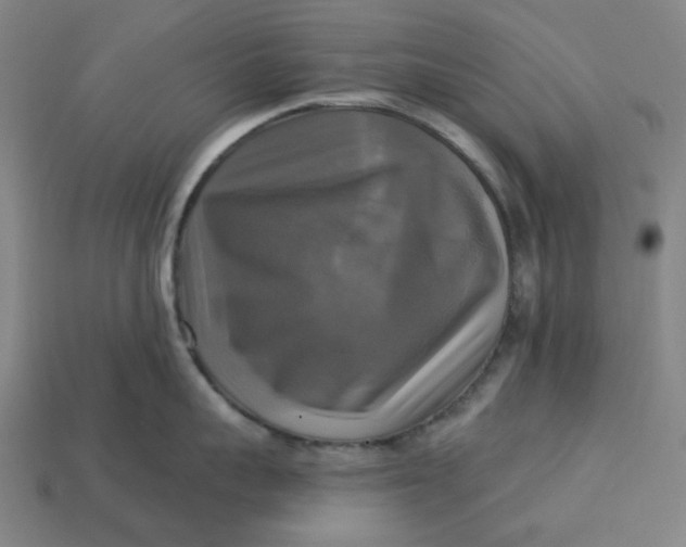 X0000113340959200910060955