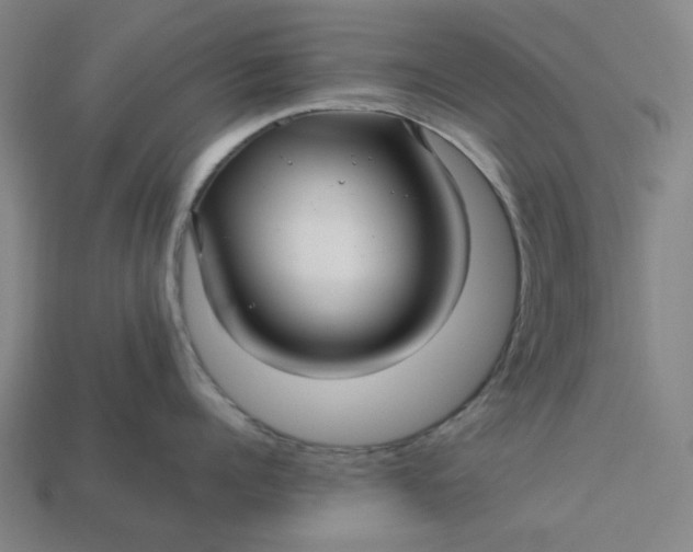 X0000113340960200910060955