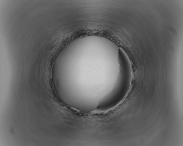 X0000113340961200910060954