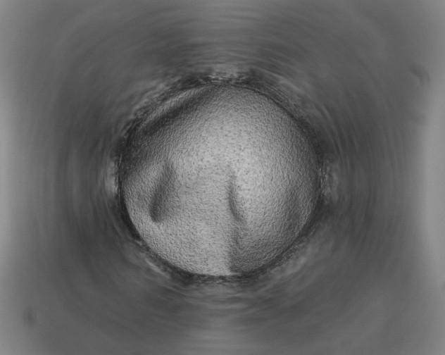 X0000113340962200910060954