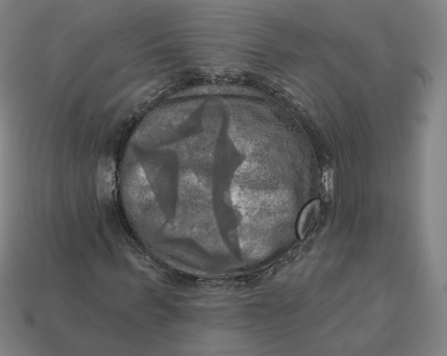 X0000113340963200910060954