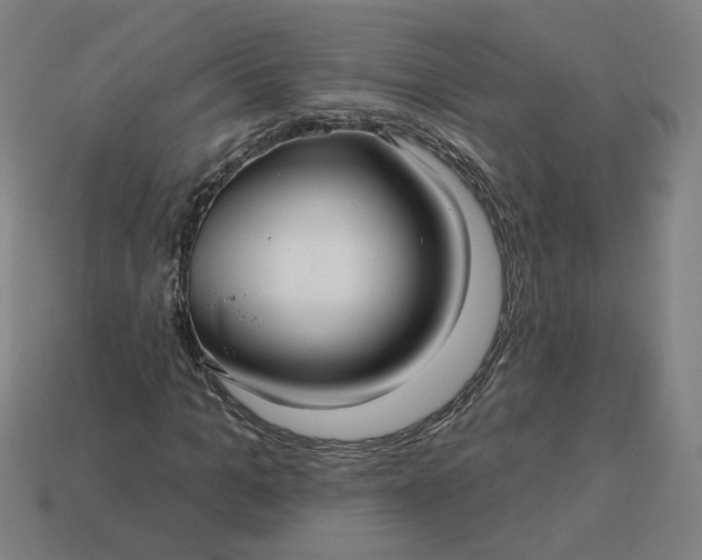 X0000113340965200910060954