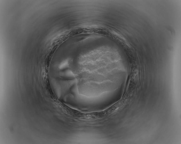 X0000113340966200910060954