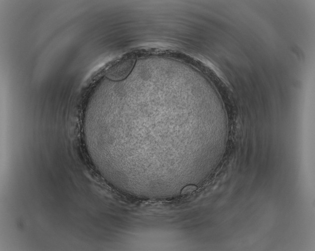 X0000113340967200910060954