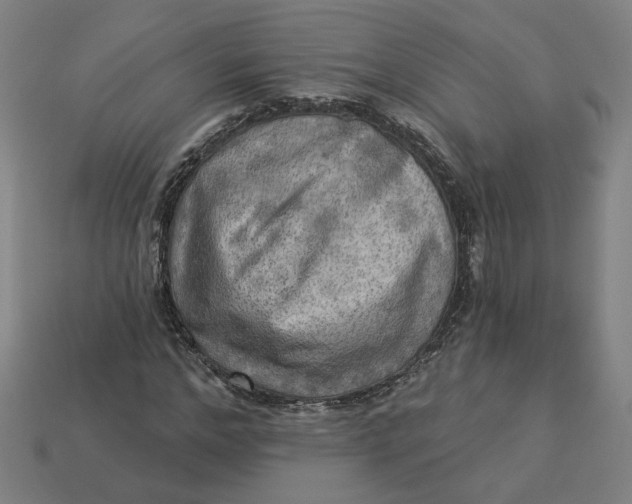 X0000113340968200910060954