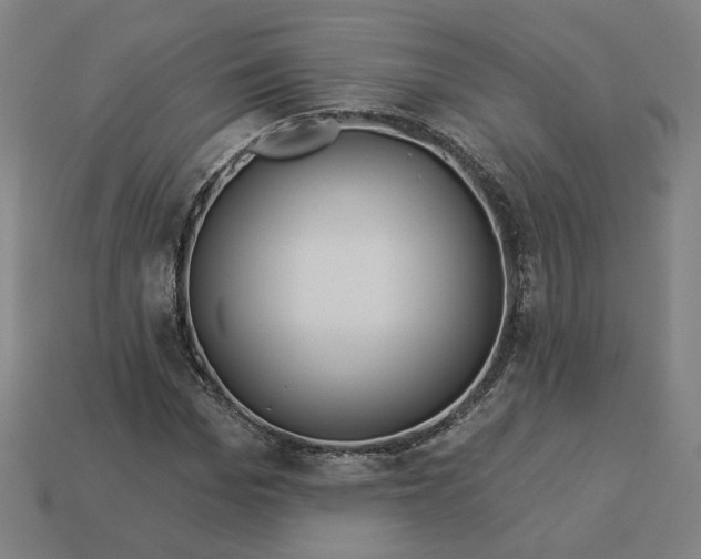 X0000113340969200910060954