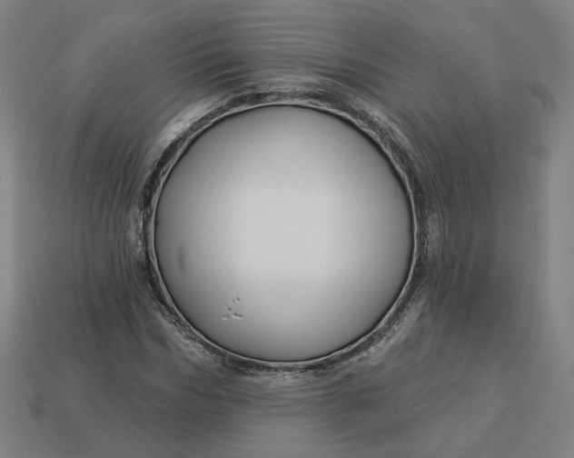 X0000113340970200910060954