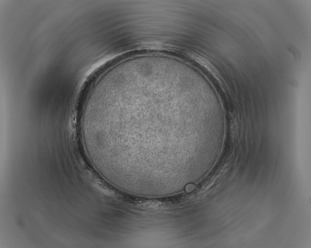 X0000113340971200910060954