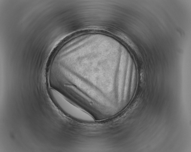 X0000113340972200910060954