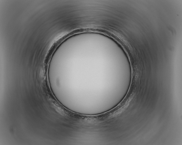 X0000113340974200910060954