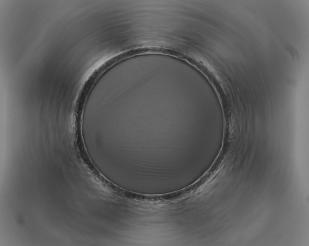 X0000113340975200910060954