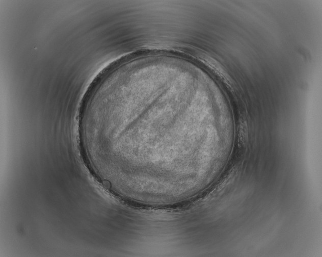 X0000113340976200910060954