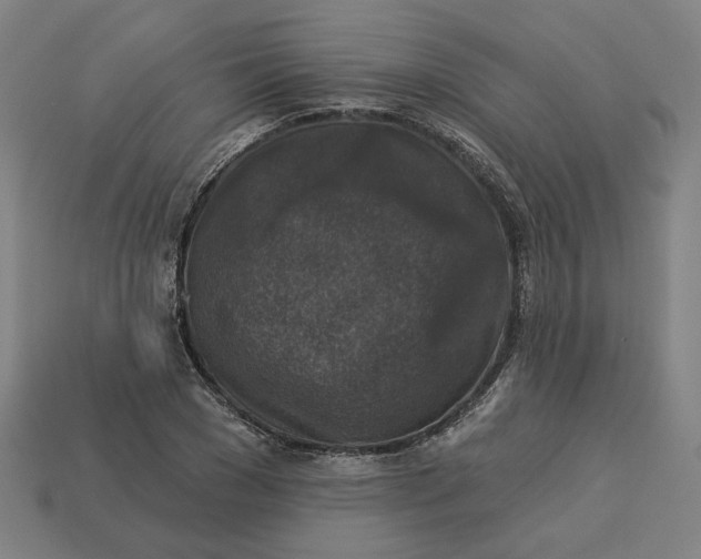 X0000113340977200910060954