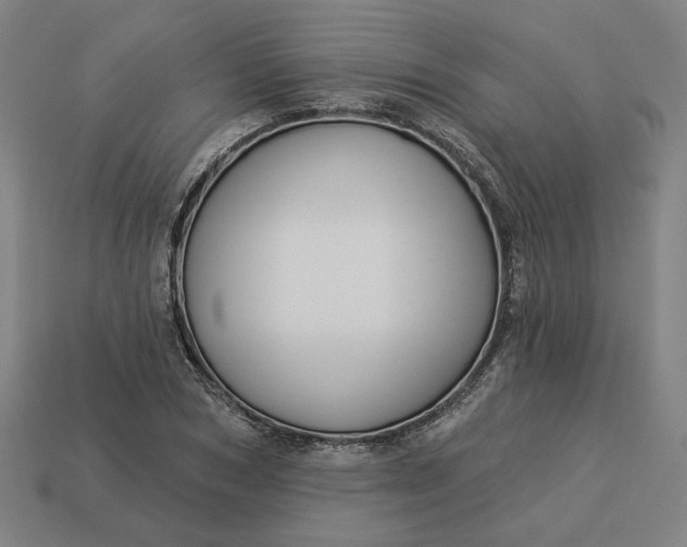 X0000113340978200910060954