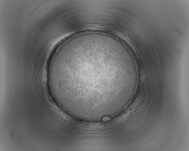 X0000113340979200910060954