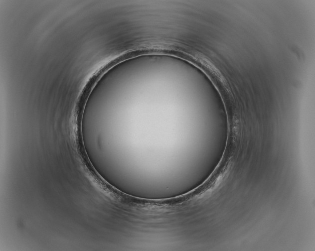 X0000113340981200910060954