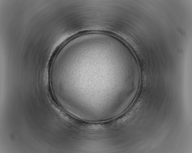 X0000113340982200910060954