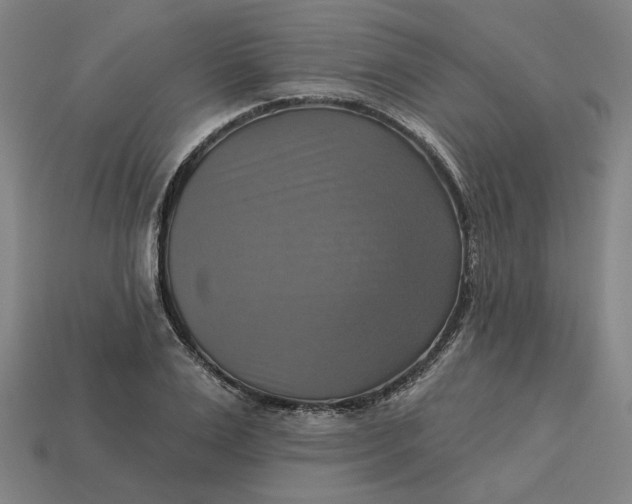 X0000113340983200910060954