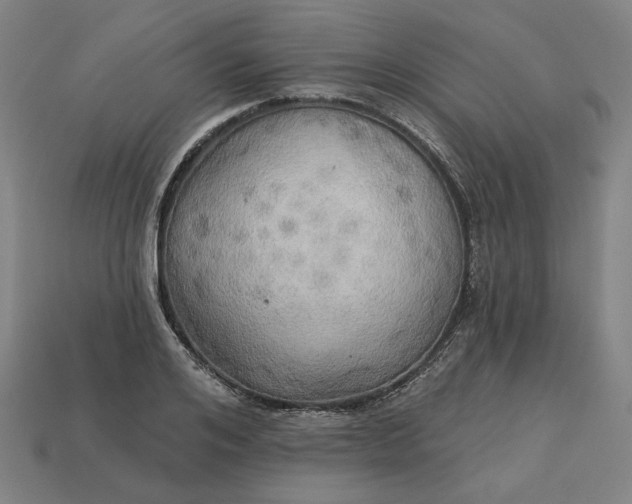 X0000113340984200910060954