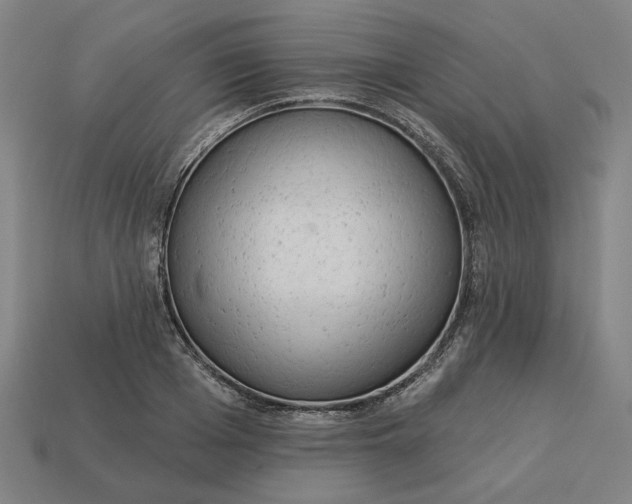 X0000113340985200910060954