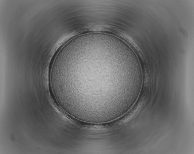 X0000113340986200910060954