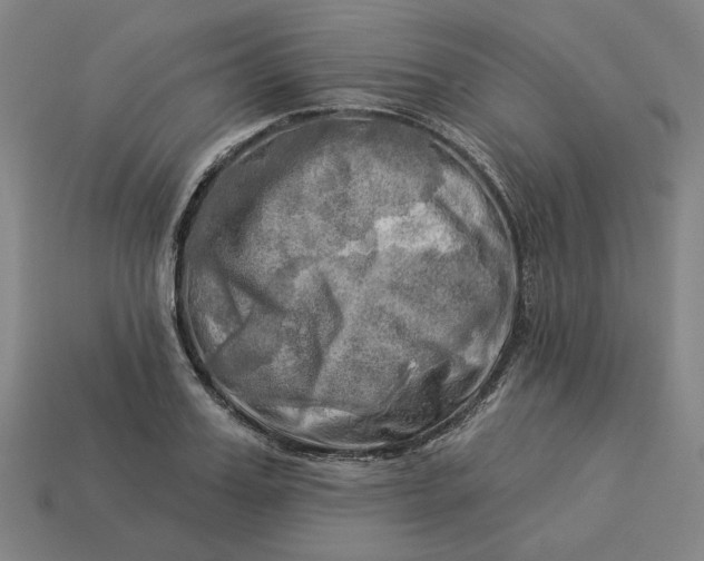 X0000113340987200910060954