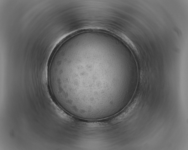 X0000113340988200910060954