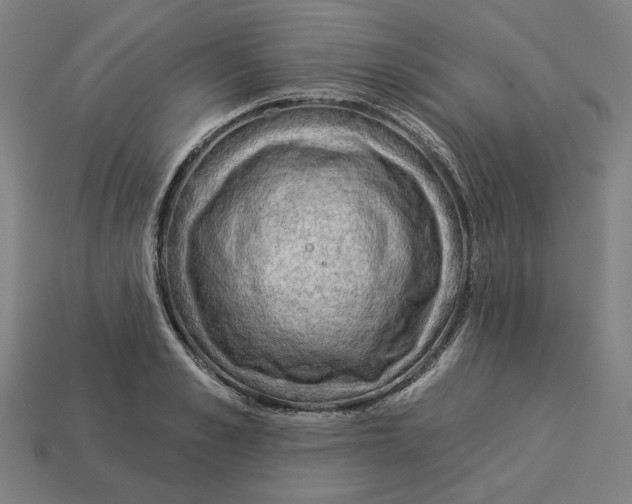 X0000113340989200910060954