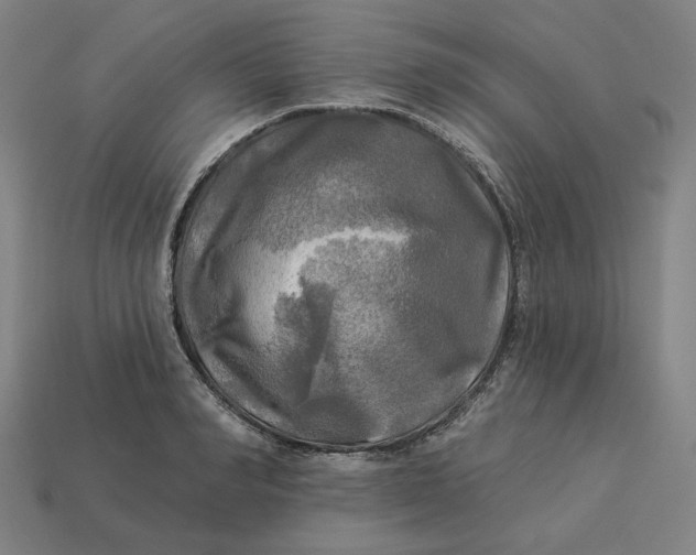 X0000113340990200910060954