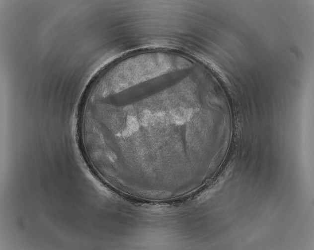 X0000113340991200910060954