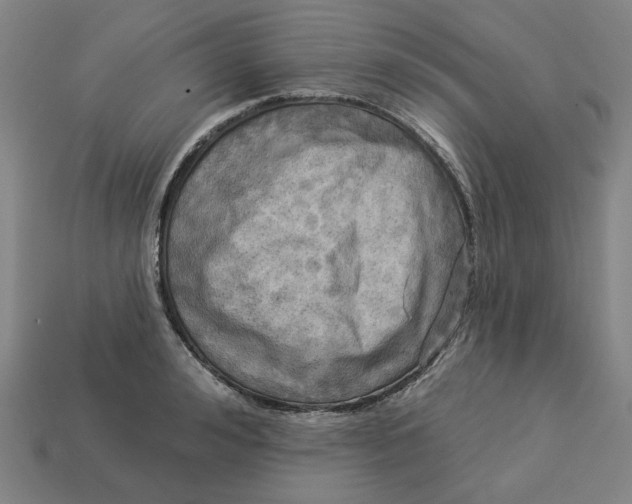 X0000113340992200910060954