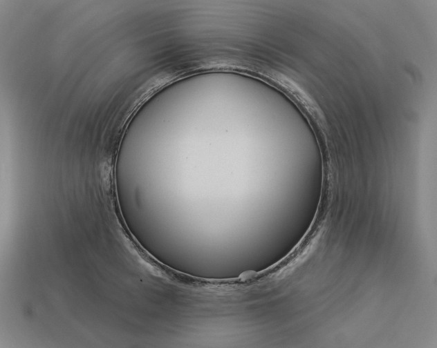 X0000113340993200910060954