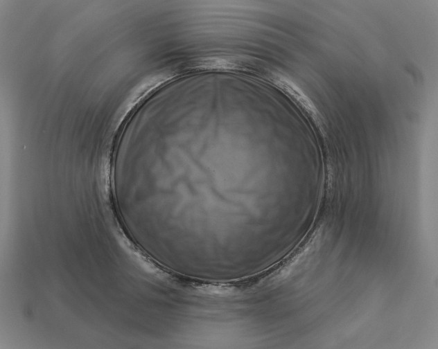 X0000113340994200910060954