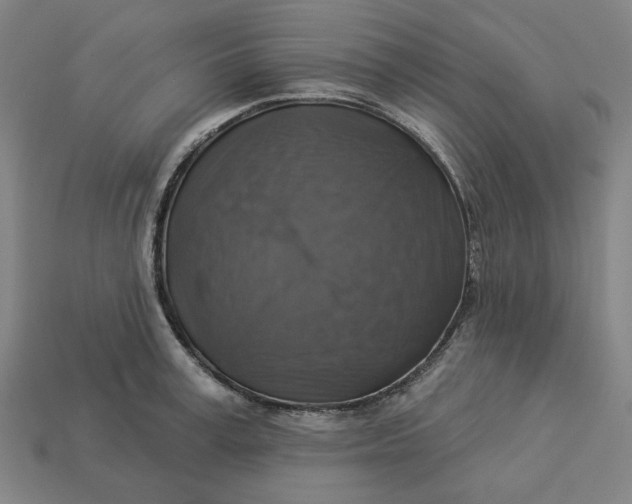 X0000113340995200910060954