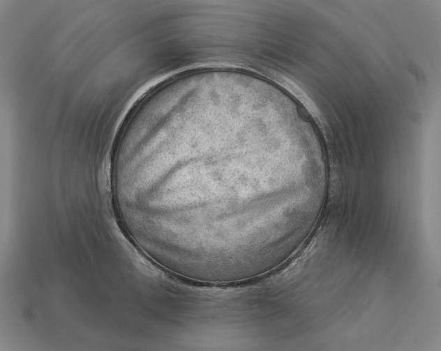 X0000113340996200910060954