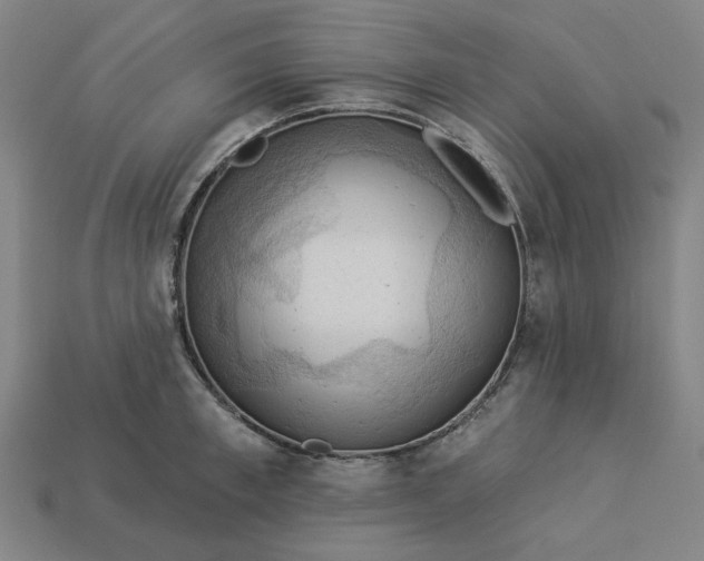 X0000113340997200910060954