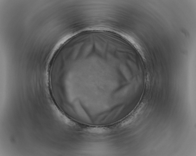 X0000113340998200910060954