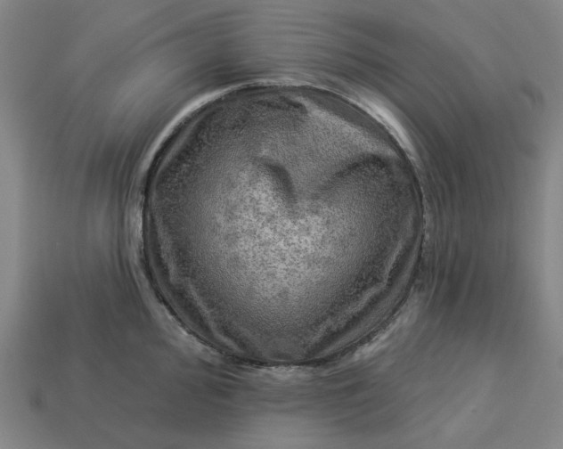 X0000113341000200910060954