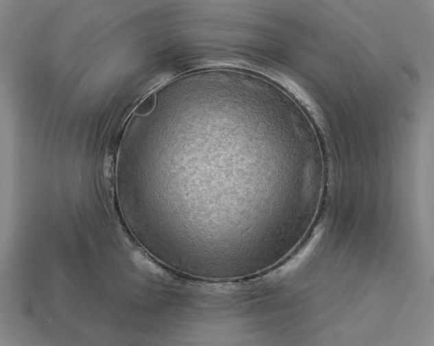 X0000113341001200910060954