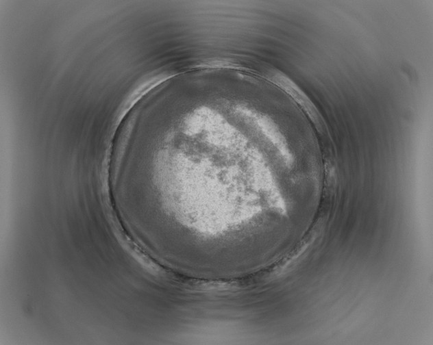 X0000113341002200910060954